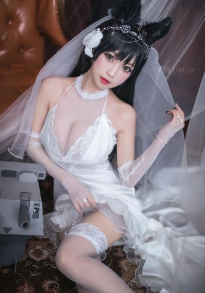 刑警队长电视剧全集免费观看_HDHD高清在线观看