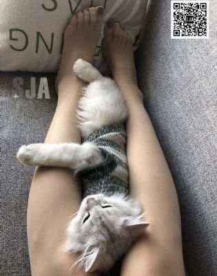 韩剧爱人在线观看_超清免费高清观看