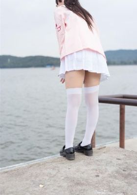 秋霞电网_英文版字幕