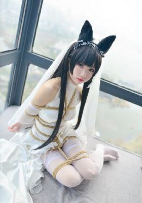 日本tvvivodes人妖_超清高清免费观看
