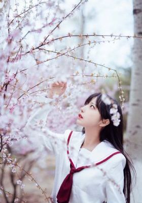 樱桃视频影视在线观看免费_HD免费观看